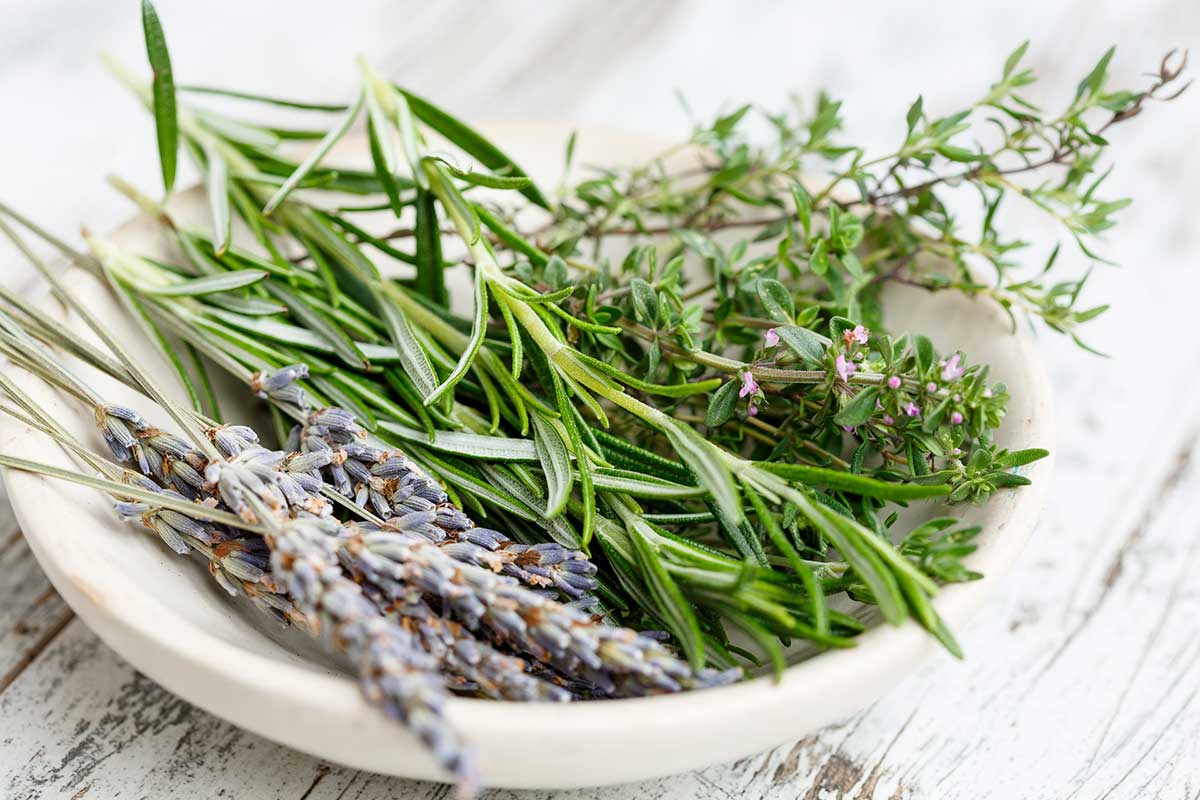 Kräutergarten selbst anlegen – Tipps und Ratschläge
