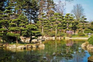 Garten im Japandi-Stil verfügt über einen Teich