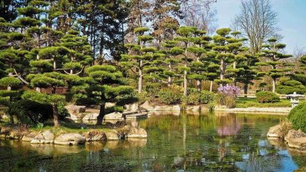 Ein Garten im Japandi-Stil – wie geht das?