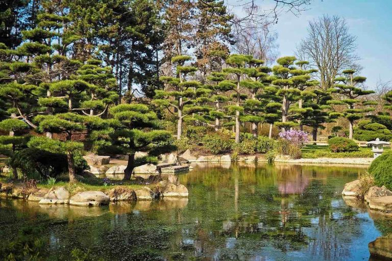 Garten im Japandi-Stil verfügt über einen Teich